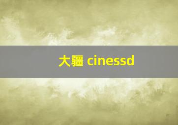 大疆 cinessd